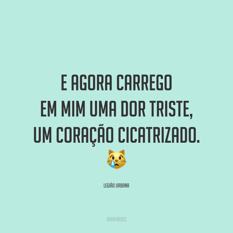 E agora carrego em mim uma dor triste, um coração cicatrizado. 😿