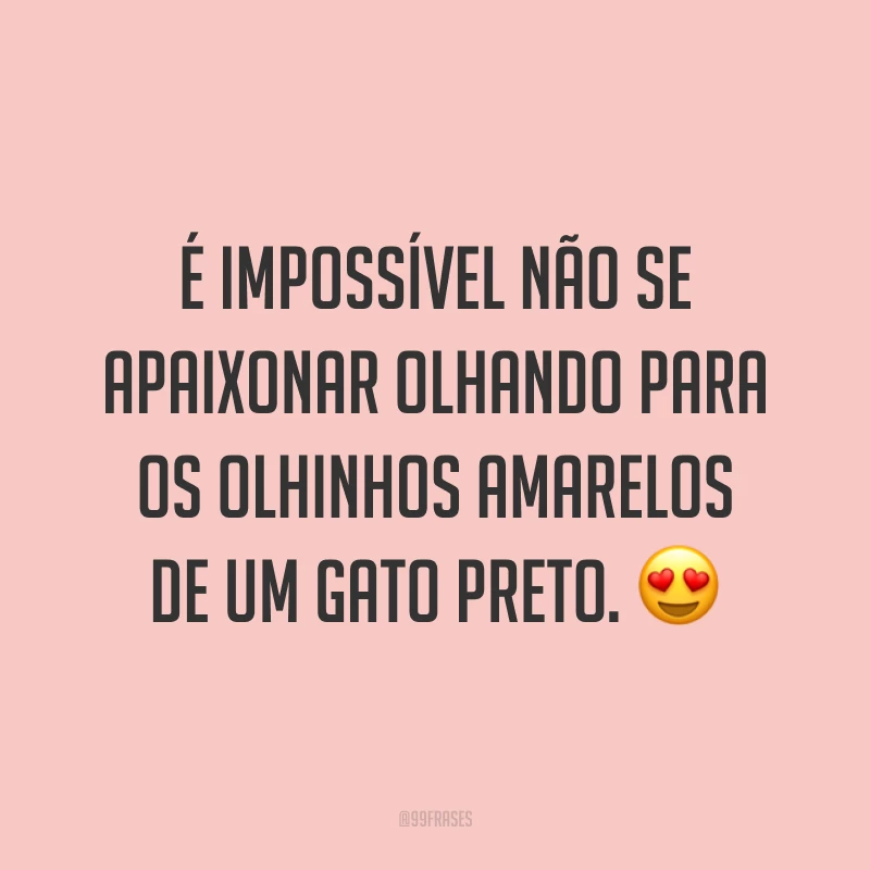 É impossível não se apaixonar olhando para os olhinhos amarelos de um gato preto. 😍