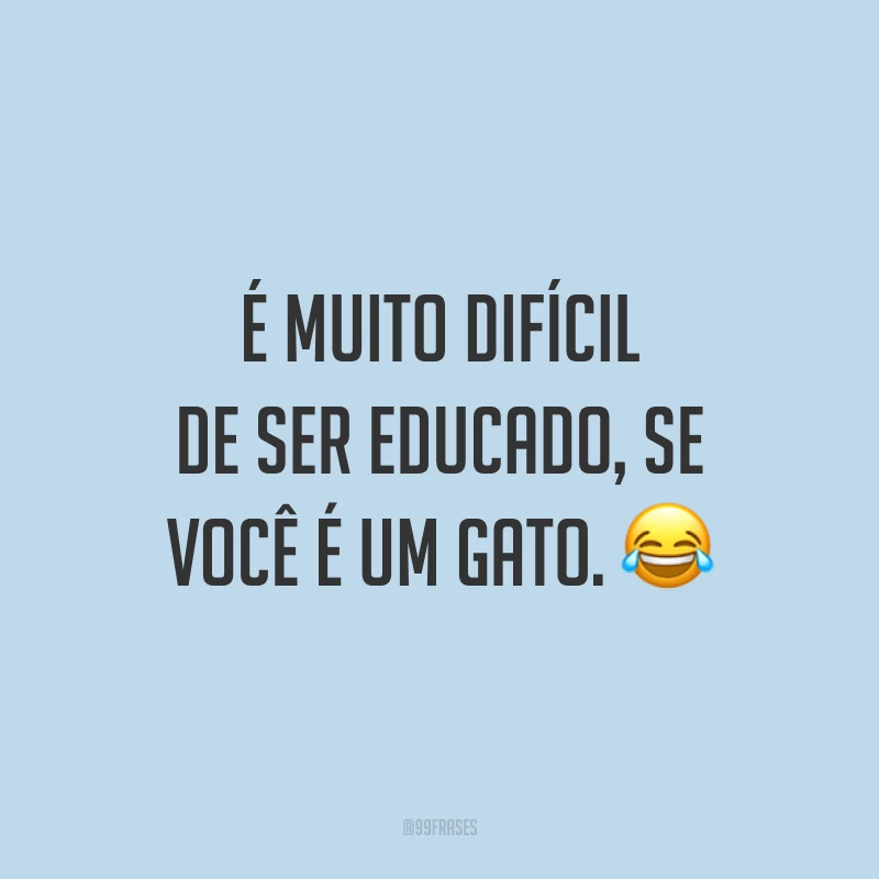 É muito difícil de ser educado, se você é um gato. 😂