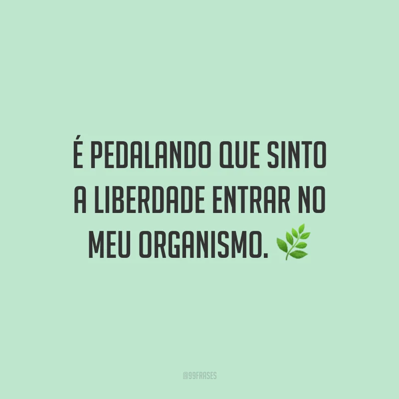 É pedalando que sinto a liberdade entrar no meu organismo.