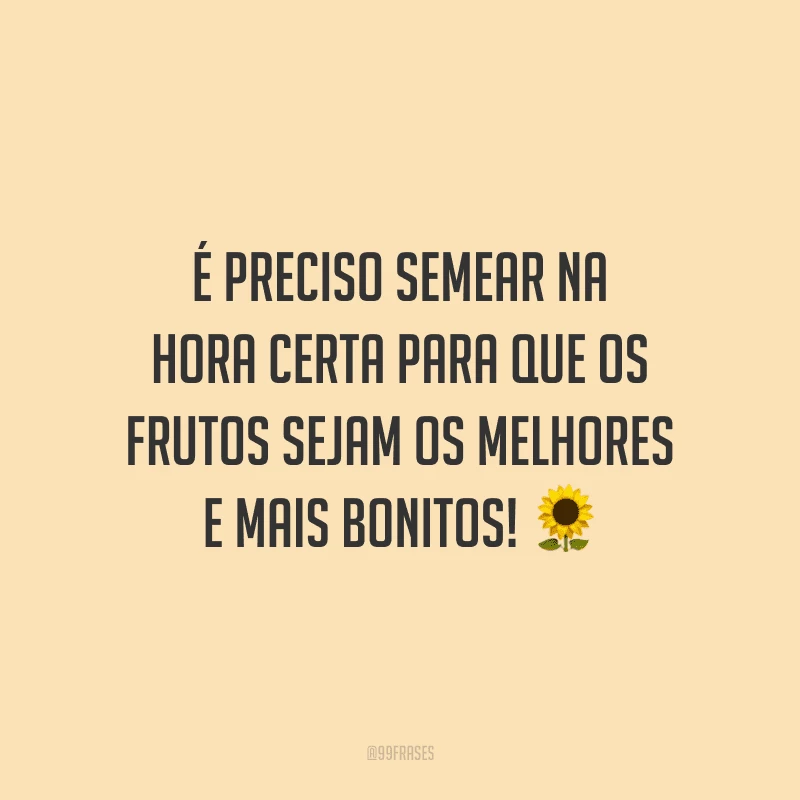 É preciso semear na hora certa para que os frutos sejam os melhores e mais bonitos!
