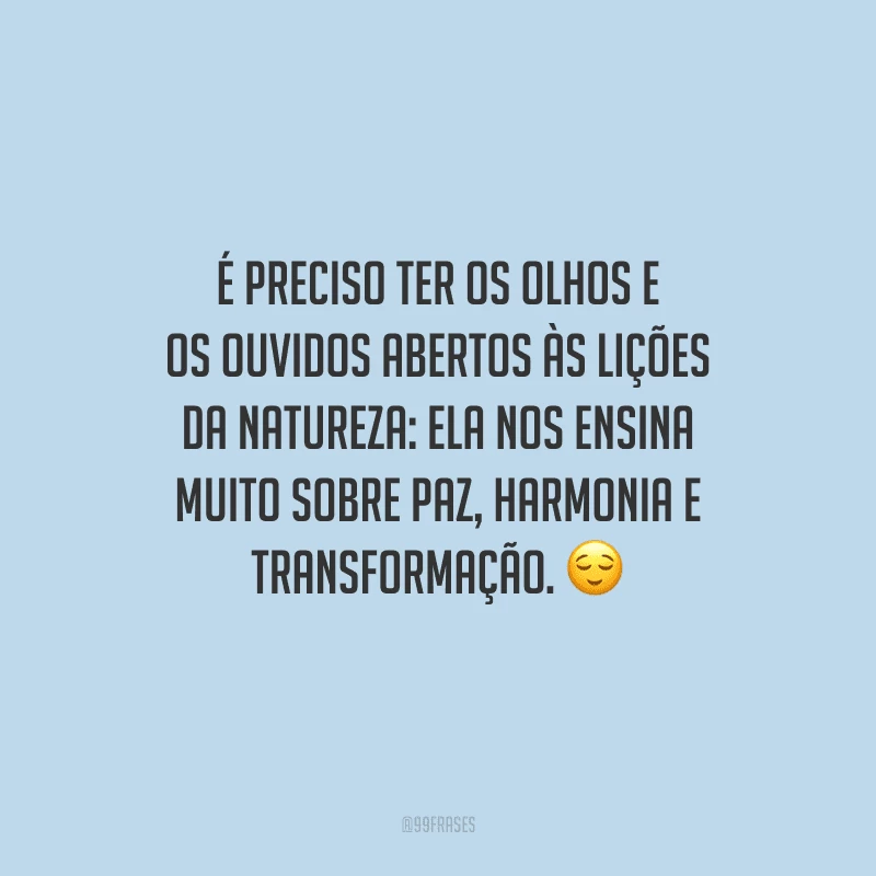 É preciso ter os olhos e os ouvidos abertos às lições da natureza: ela nos ensina muito sobre paz, harmonia e transformação. 