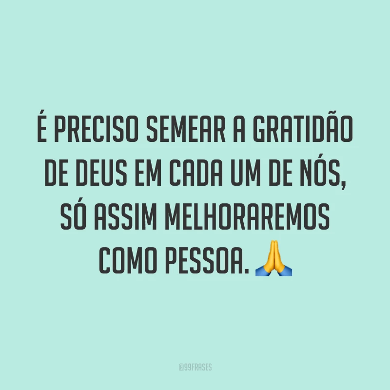 É preciso semear a gratidão de Deus em cada um de nós, só assim melhoraremos como pessoa. 🙏