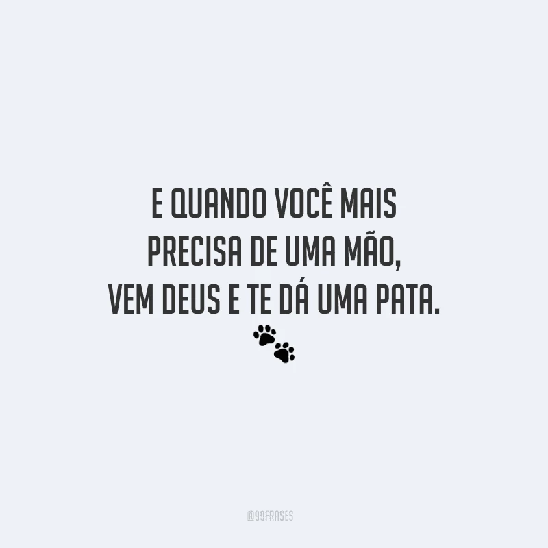 E quando você mais precisa de uma mão, vem Deus e te dá uma pata.
