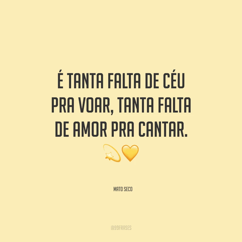 É tanta falta de céu pra voar, tanta falta de amor pra cantar.