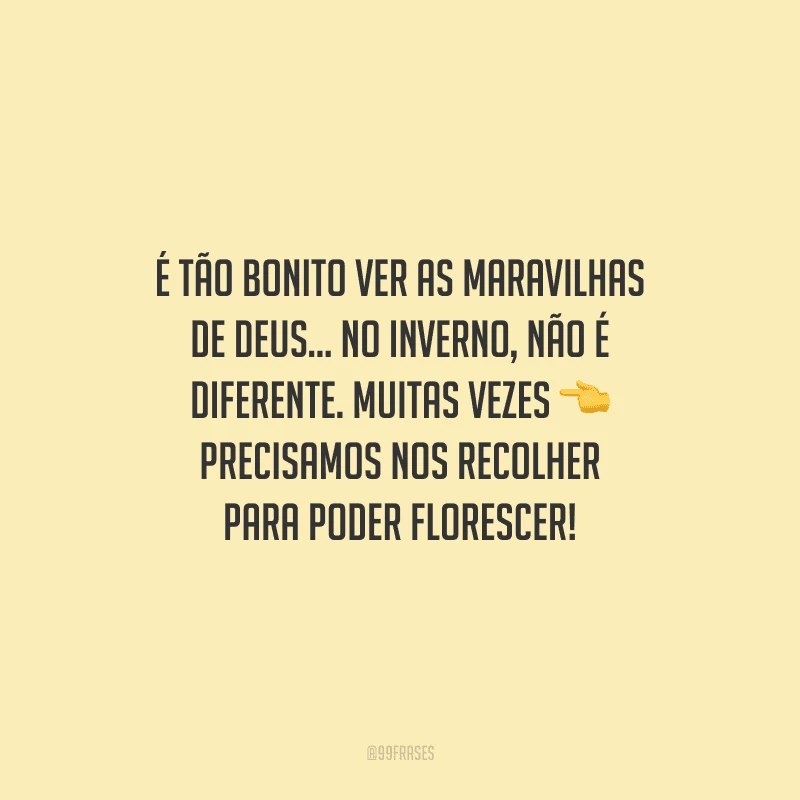É tão bonito ver as maravilhas de Deus... No inverno, não é diferente. Muitas vezes precisamos nos recolher para poder florescer! 