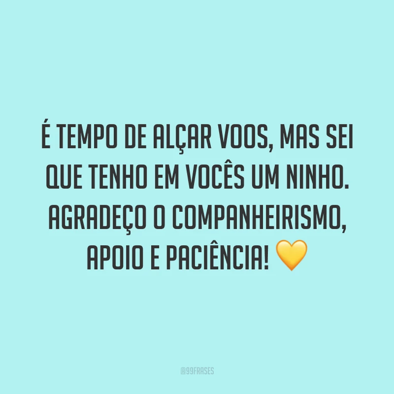 É tempo de alçar voos, mas sei que tenho em vocês um ninho. Agradeço o companheirismo, apoio e paciência! 💛