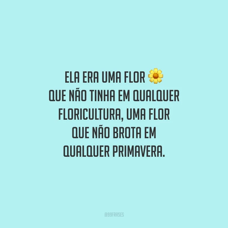 Ela era uma flor que não tinha em qualquer floricultura, uma flor que não brota em qualquer primavera. 