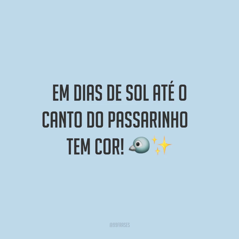 Em dias de sol até o canto do passarinho
tem cor!