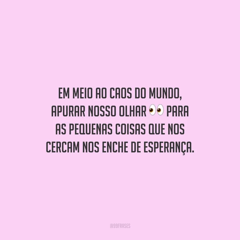 Em meio ao caos do mundo, apurar nosso olhar para as pequenas coisas que nos cercam nos enche de esperança.