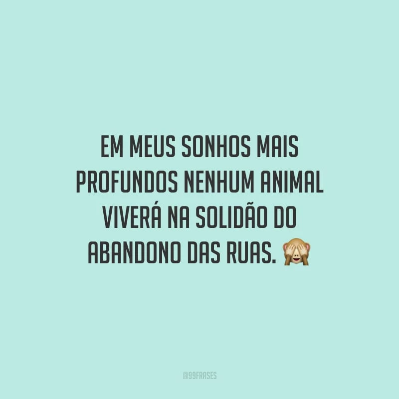 Em meus sonhos mais profundos nenhum animal viverá na solidão do abandono das ruas.