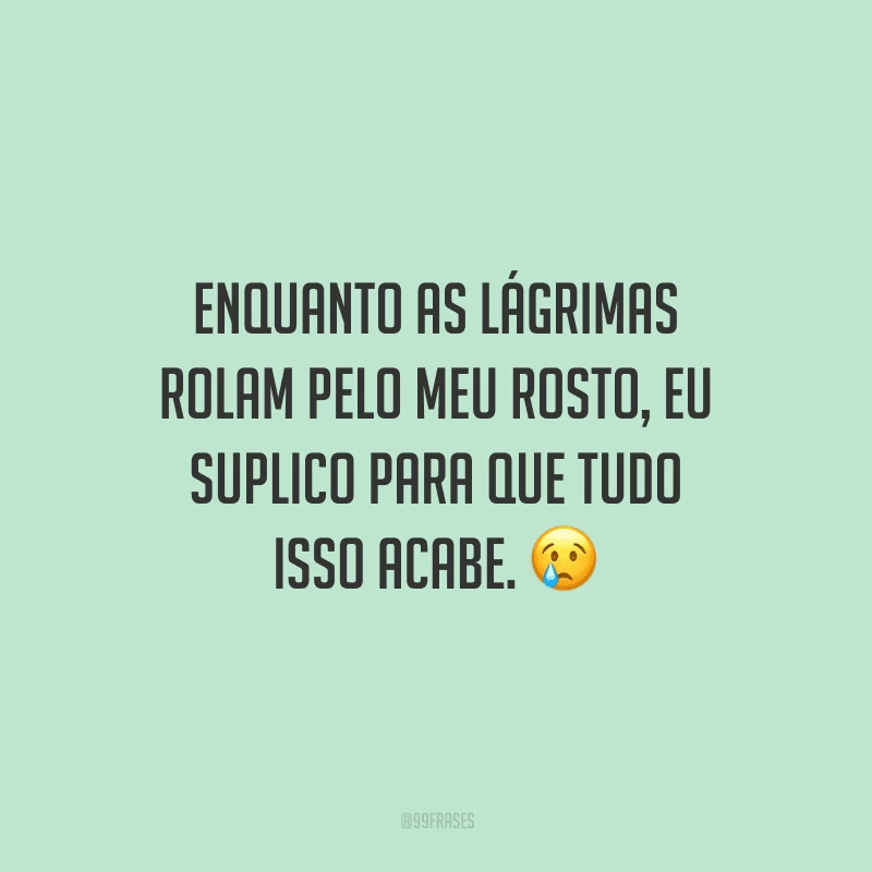 Enquanto as lágrimas rolam pelo meu rosto, eu suplico para que tudo isso acabe.