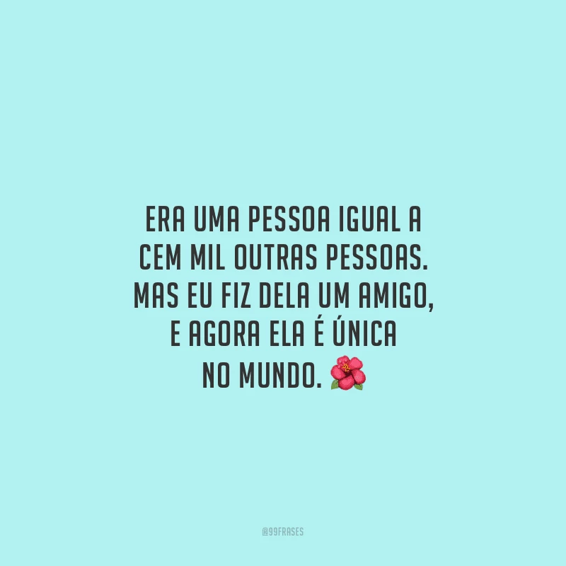 Era uma pessoa igual a cem mil outras pessoas. Mas eu fiz dela um amigo, e agora ela é única no mundo.