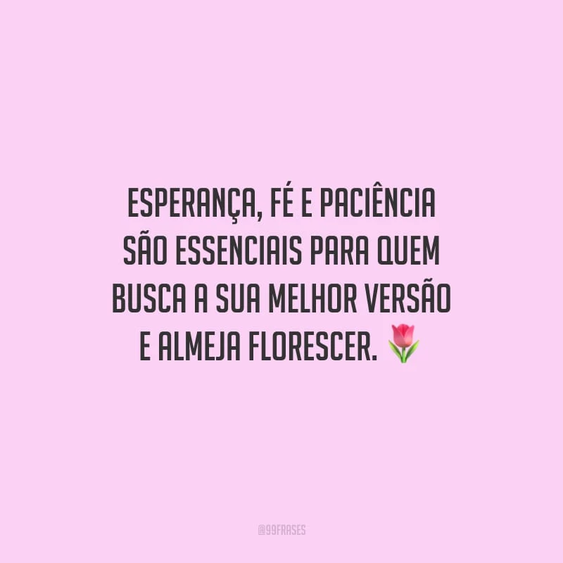 Esperança, fé e paciência são essenciais para quem busca a sua melhor versão e almeja florescer.