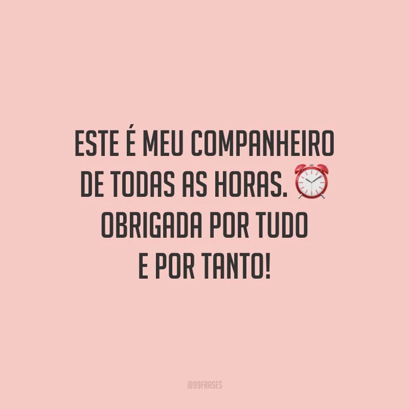 Este é meu companheiro de todas as horas. Obrigada por tudo e por tanto!