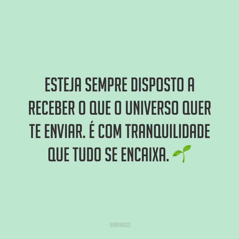 Esteja sempre disposto a receber o que o Universo quer te enviar. É com tranquilidade que tudo se encaixa.