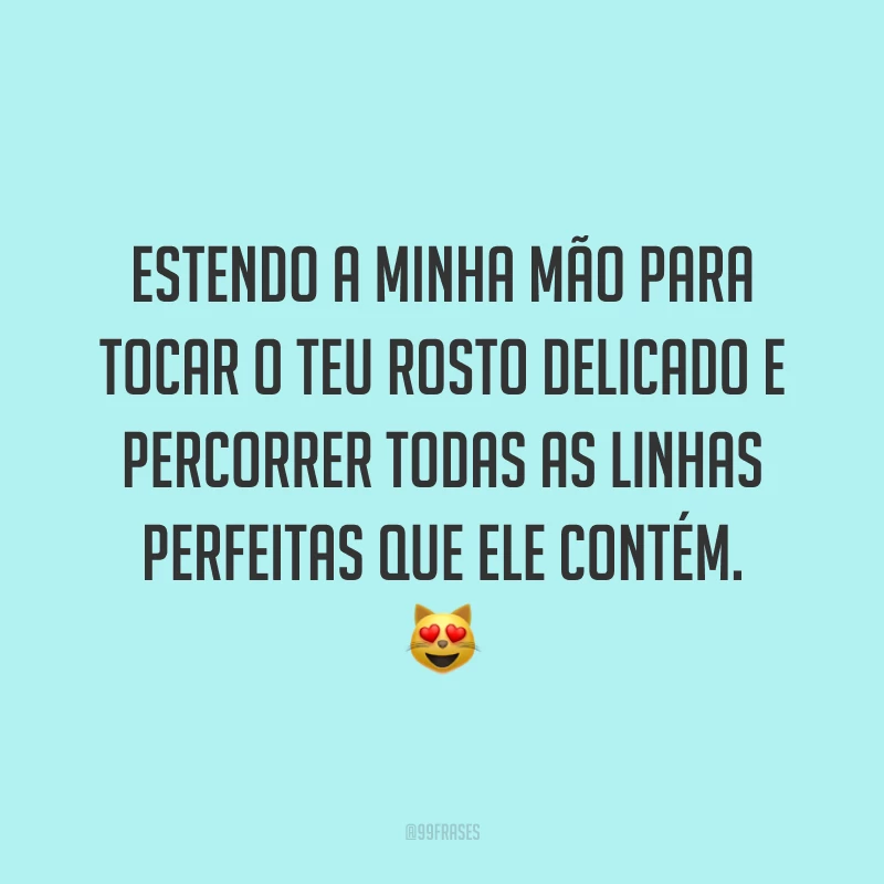 Estendo a minha mão para tocar o teu rosto delicado e percorrer todas as linhas perfeitas que ele contém. 😻