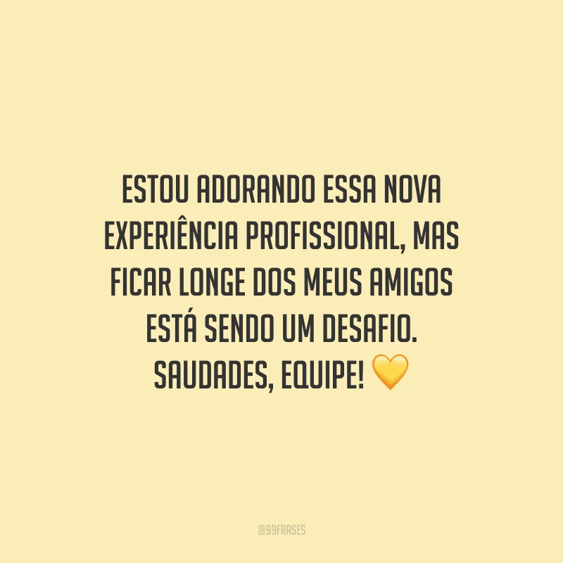 Estou adorando essa nova experiência profissional, mas ficar longe dos meus amigos está sendo um desafio. Saudades, equipe!