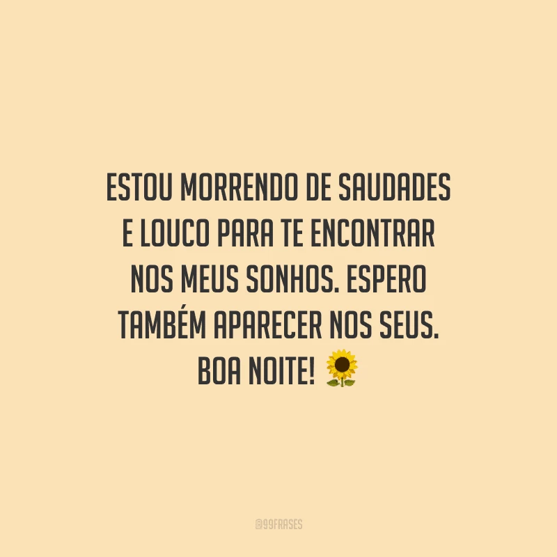 Estou morrendo de saudades e louco para te encontrar nos meus sonhos. Espero também aparecer nos seus. Boa noite!