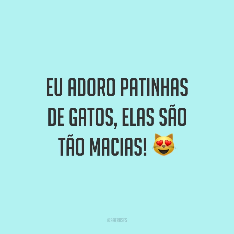 Eu adoro patinhas de gatos, elas são tão macias! 😻
