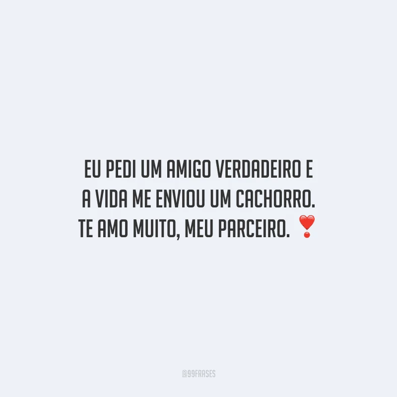 Eu pedi um amigo verdadeiro e a vida me enviou um cachorro. Te amo muito, meu parceiro.