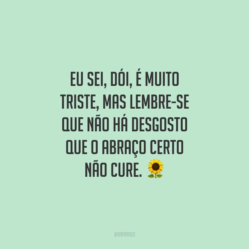 Eu sei, dói, é muito triste, mas lembre-se que não há desgosto que o abraço certo não cure.