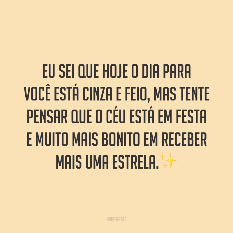 Eu sei que hoje o dia para você está cinza e feio, mas tente pensar que o céu está em festa e muito mais bonito em receber mais uma estrela.✨