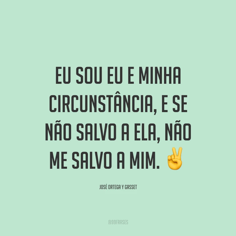 Eu sou eu e minha circunstância, e se não salvo a ela, não me salvo a mim. ✌