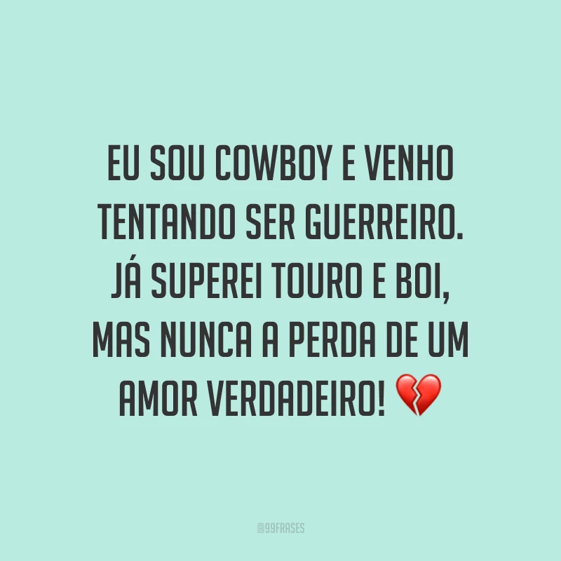 Eu sou cowboy e venho tentando ser guerreiro. Já superei touro e boi, mas nunca a perda de um amor verdadeiro! 💔