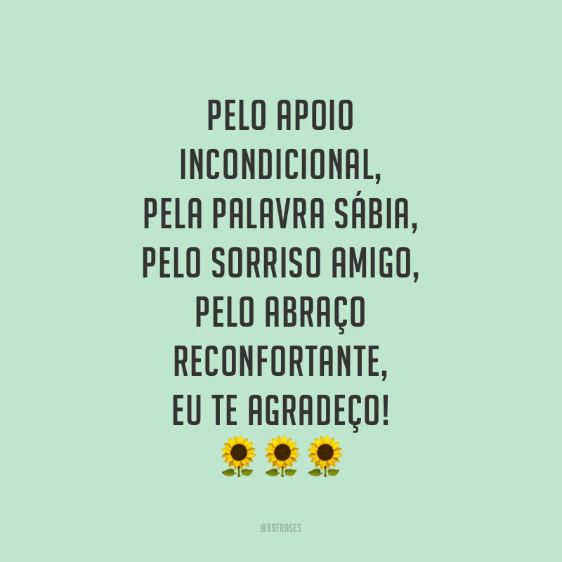 Pelo apoio incondicional, pela palavra sábia, pelo sorriso amigo, pelo abraço reconfortante, eu te agradeço!