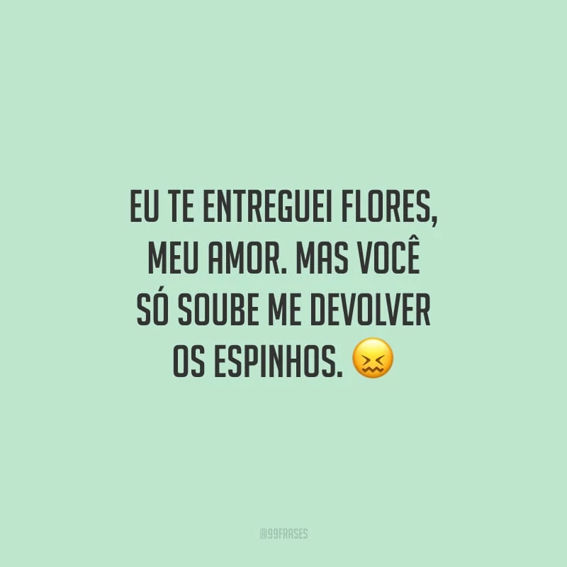 Eu te entreguei flores, meu amor. Mas você só soube me devolver os espinhos.