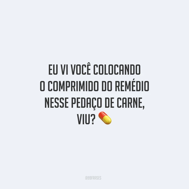 Eu vi você colocando o comprimido do remédio nesse pedaço de carne, viu?