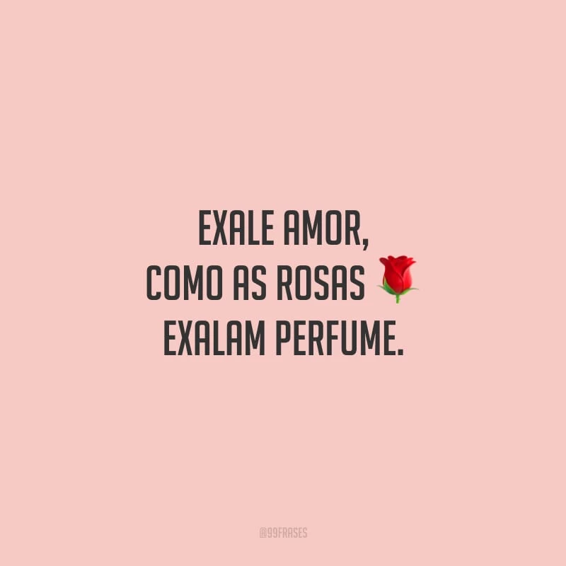 Exale amor, como as rosas exalam perfume. 