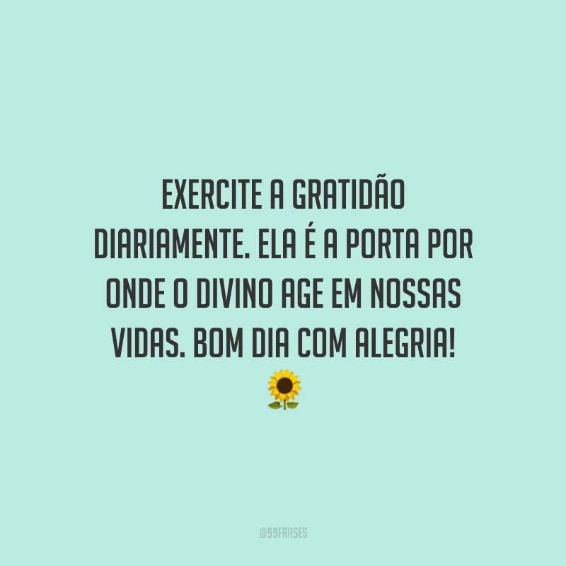 Exercite a gratidão diariamente. Ela é a porta por onde o divino age em nossas vidas. Bom dia com alegria!