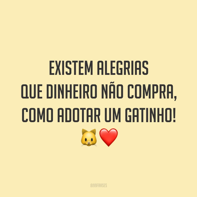 Existem alegrias que dinheiro não compra, como adotar um gatinho! 🐱❤️