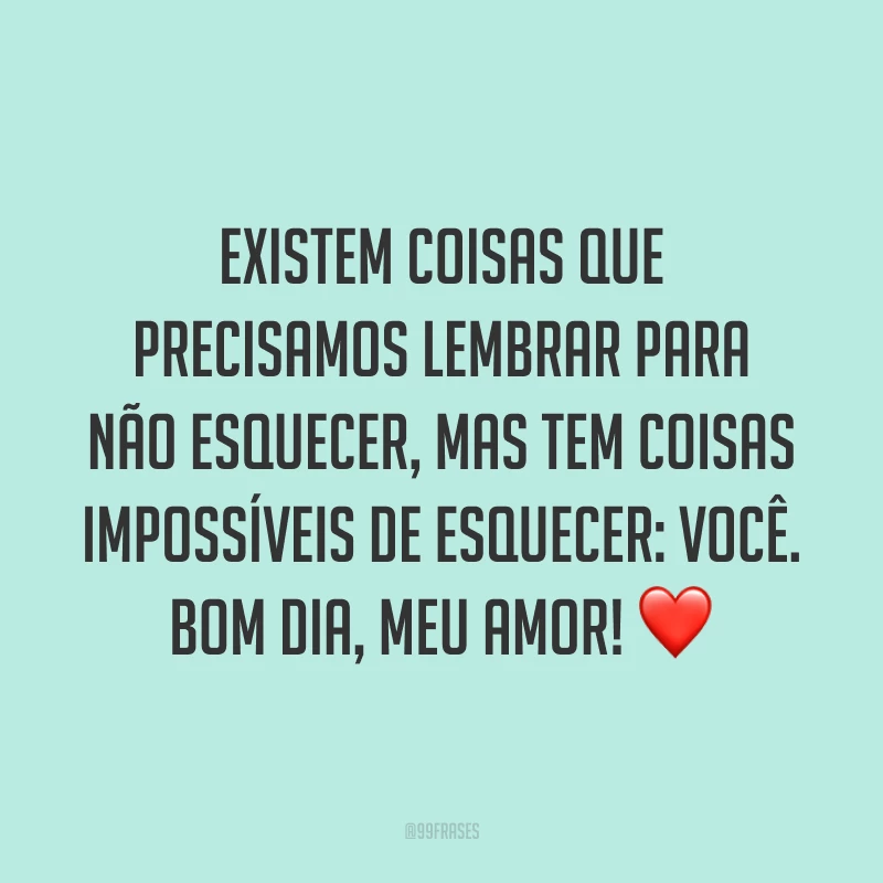 Existem coisas que precisamos lembrar para não esquecer, mas tem coisas impossíveis de esquecer: você. Bom dia, meu amor! ❤