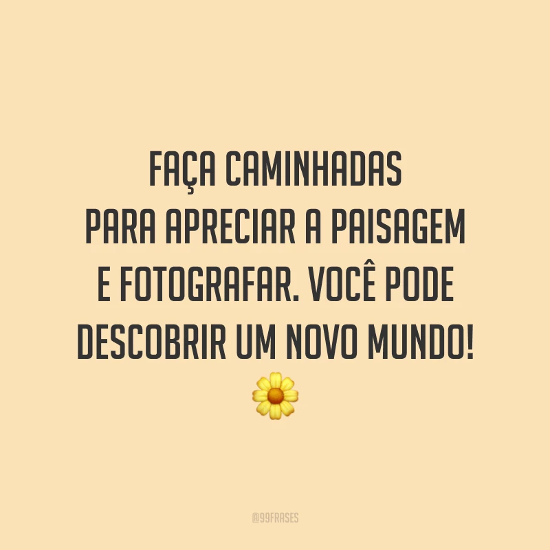 Faça caminhadas para apreciar a paisagem e fotografar. Você pode descobrir um novo mundo! 🌼