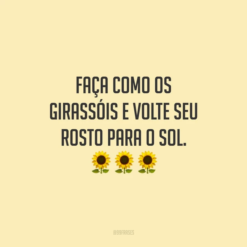 Faça como os girassóis e volte seu rosto para o sol.
