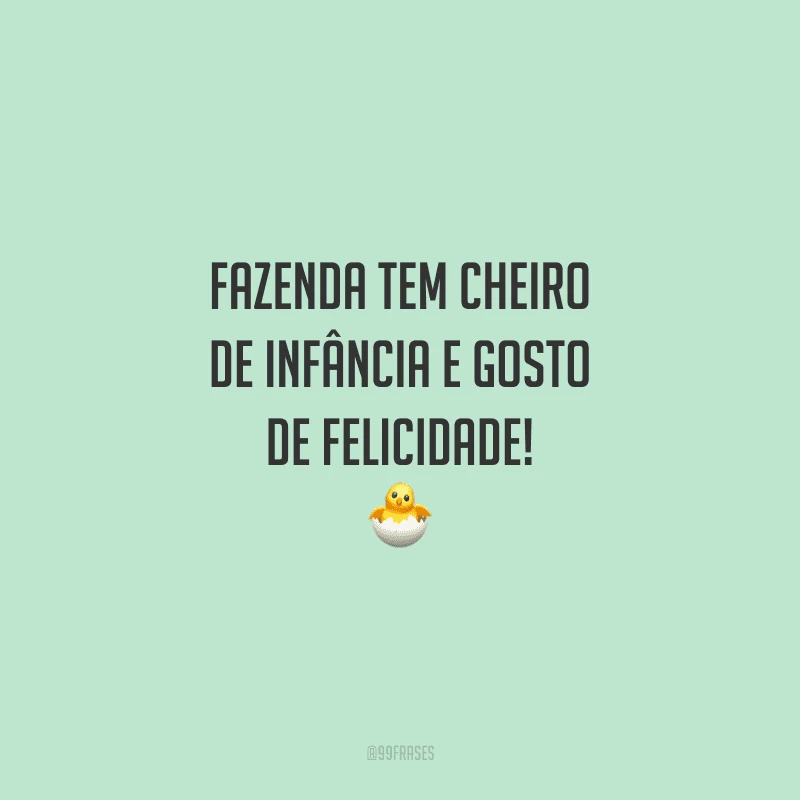 Fazenda tem cheiro de infância e gosto de felicidade!