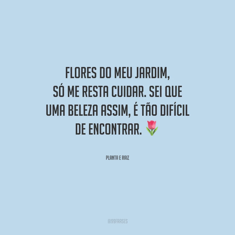 Flores do meu jardim, só me resta cuidar. Sei que uma beleza assim, é tão difícil de encontrar.