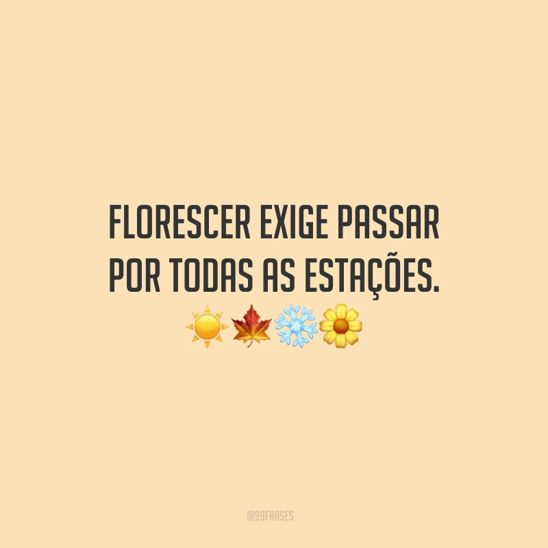 Florescer exige passar por todas as estações.