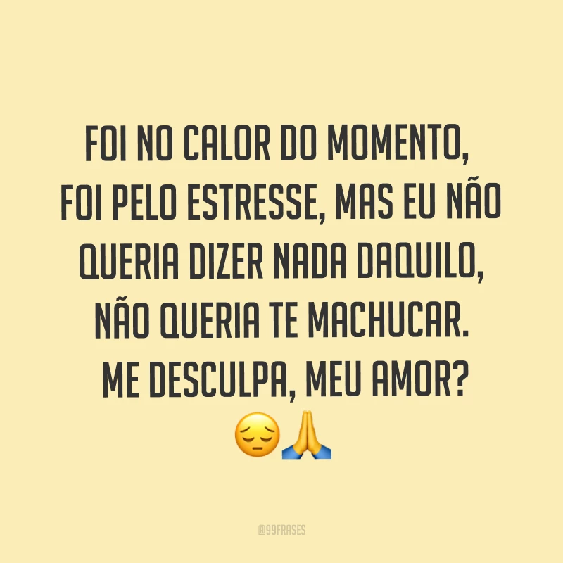 Foi no calor do momento, foi pelo estresse, mas eu não queria dizer nada daquilo, não queria te machucar. Me desculpa, meu amor? ??