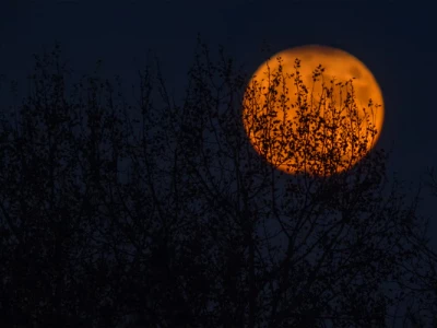 45 frases de boa noite com carinho para demonstrar o seu amor