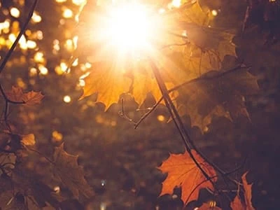 100 frases de bom dia para que seu dia comece bem