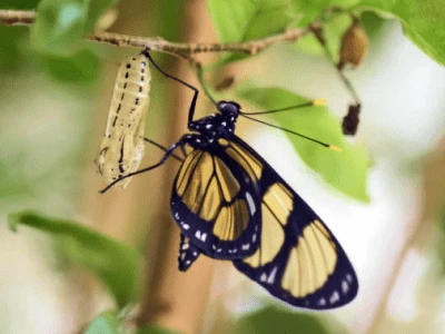 40 frases de evolução para te inspirar a ser sempre melhor