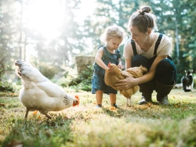 50 frases de fazenda para quem ama a simplicidade do campo