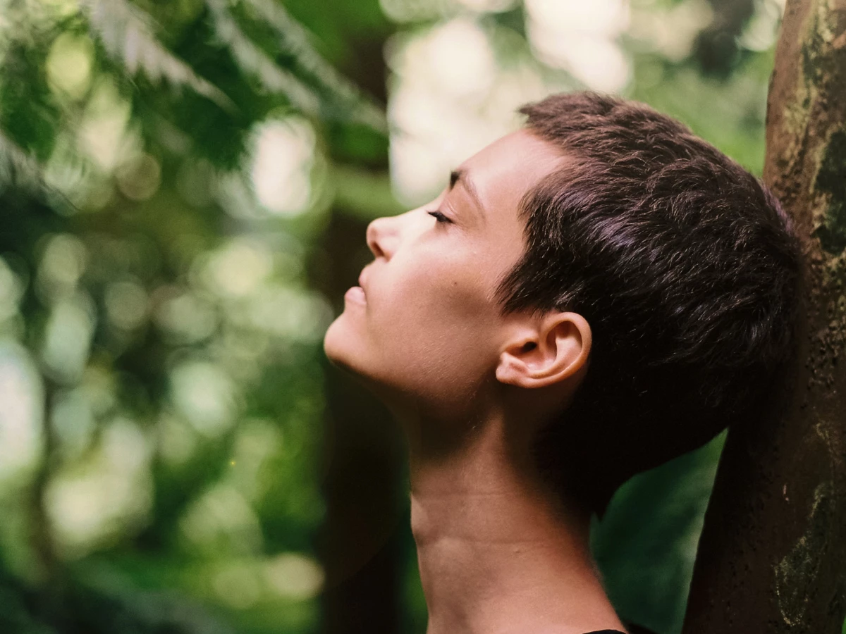 40 frases de natureza e paz que te deixarão em comunhão com a vida