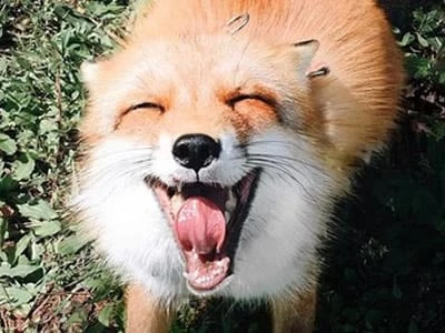 75 frases de otimismo para aqueles dias não tão bons assim