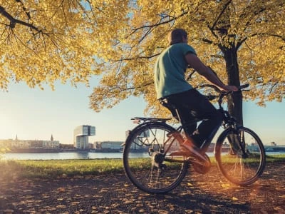 40 frases de prosperidade para comemorar as conquistas alcançadas