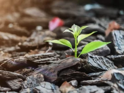 40 frases de vida nova para quem está pronto para recomeçar